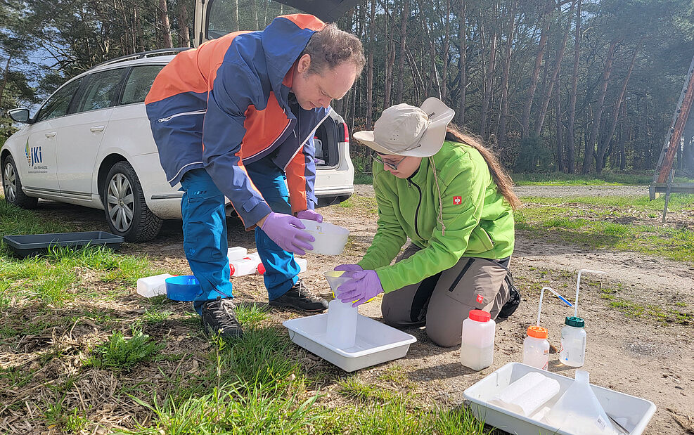 
	Abb. 1. Forschende des JKI Institut für Bienenschutz sammeln Farbschalenproben ein, aus denen später mittels DNA-Metabarcoding das am Standort vorkommende Artenspektrum für Bienen und andere blütenbesuchende Insekten bestimmt wird. © Institut für Bienenschutz/JKI
