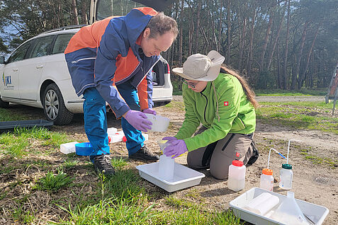 Abb. 1. Forschende des JKI Institut für Bienenschutz sammeln Farbschalenproben ein, aus denen später mittels DNA-Metabarcoding das am Standort vorkommende Artenspektrum für Bienen und andere blütenbesuchende Insekten bestimmt wird. © Institut für Bienenschutz/JKI