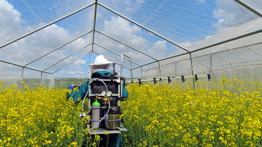 Applikation einer Tankmischung im Halbfreilandversuch. © JKI – Institut für Bienenschutz