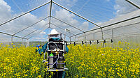 Applikation einer Tankmischung im Halbfreilandversuch. © JKI – Institut für Bienenschutz