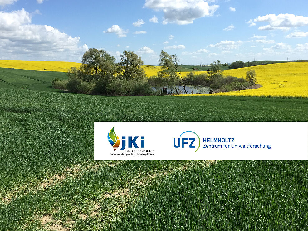 
	Agrarlandschaft mit Standgewässer und blühendem Rapsfeld © S. Lorenz/JKI
