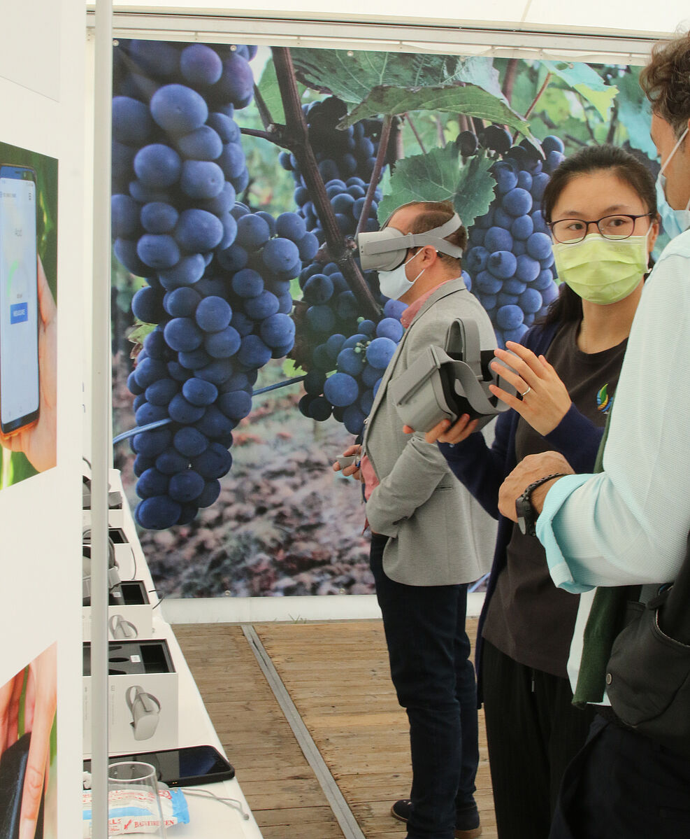 Postdoc Zheng helps guest to put on 3D glasses for a virtual tour on the Phenoliner, a multi-sensor field phenotyping platform co-developed by the JKI | (c) Kicherer/JKI