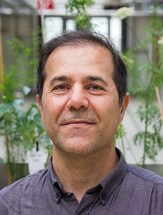 Dr. Parviz  Moradi