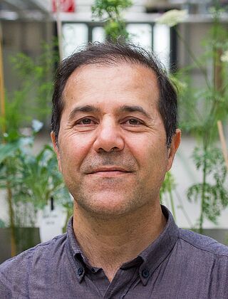 Dr. Parviz  Moradi
