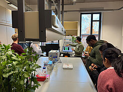 Laborbesichtigung im Rahmen des Ackerbohnen-Workshops am JKI. © B. pommerrenig/JKI