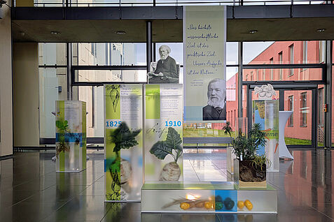Dauerausstellung „Julius Kühn und das JKI“. © Isabel Haberkorn/JKI