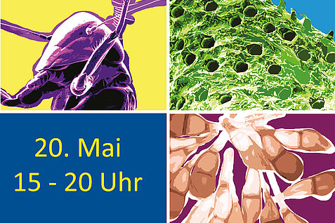 Morphologischer Kasten  ZHAW Institut für Nachhaltige Entwicklung INE