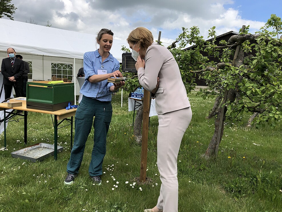 Nadine Kunz (links) vom JKI-Fachinstitut für Bienenschutz erklärt Bundesagrarministerin Julia Klöckner beim Besuch am JKI in Braunschweig ihr Projekt ABO. © S.Hahn/JKI