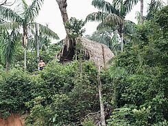 Kolumbianischen Regenwald in echt erleben auch das ein Programmpunkt der deutschen Delegation aus Außen- und landwirtschaftsministerien. © S. Framke/BMEL