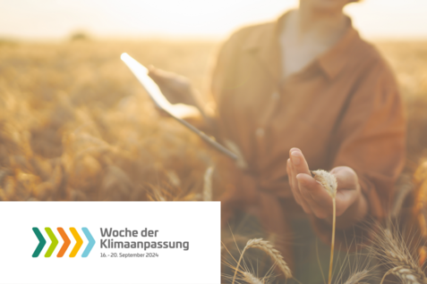 (© Leefken/JKI mit Canva) Passend zur Woche der Klimaanpassung 2024 bittet das JKI Landwirtinnen und Landwirte ihre Klimabetroffenheit im Winterweizen einzuschätzen.