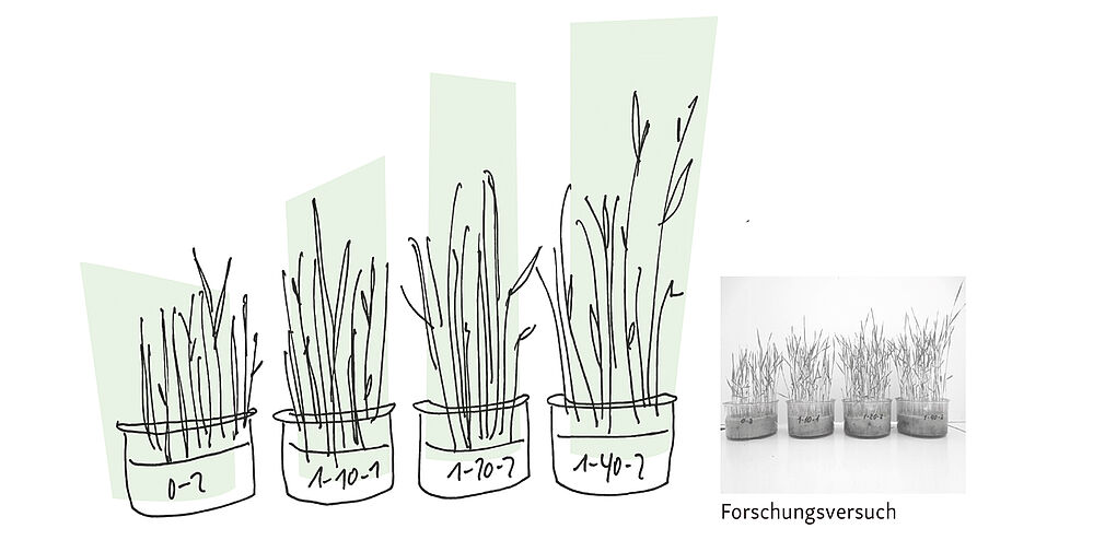 © Dörte Wähner, info@doma.de | Forschungsversuch © Dörte Wähner, info@doma.de | Forschungsversuch