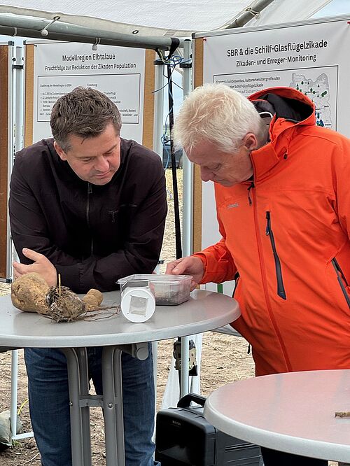 Bundesminister Alois Rainer und Landesminister Sven Schulze. © Prof. Dr. Anne-Katrin Mahlein/ Direktorin Institut für Zuckerrübenforschung