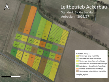 Durch den Anbau aller Kulturen in vierfacher Wiederholung können die Unterschiede zwischen den Anbausystemen statistisch abgesichert bewertet werden.