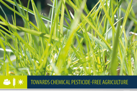 Franco-German research initiative on low-pesticide agriculture in Europe. © ZALF