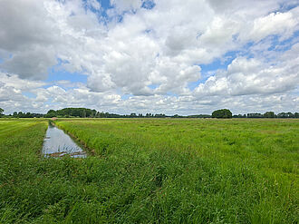 Eine Grünlandfläche in Sachsen-Anhalt, in der Region Nord-Ost. © K. Behrens/LLG-SA