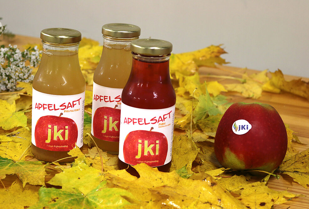 Hauseigener Apfelsaft und Sortenzüchtungen werden Thema der zweiten interkativen Onlineveranstaltung MaKOWIZ sein. ©Peil/JKI