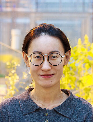 Min Han