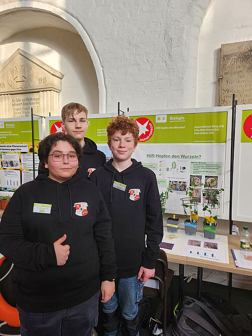Die Quedlinburger Schüler Paul Lindner, Justus König und Fritz Ohlsen. Foto: J. König/JKI