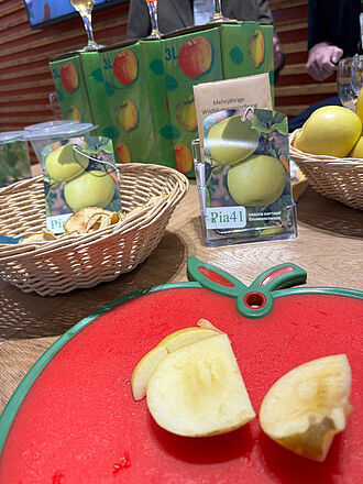 Pia41 und andere noch namenlose Zuchtklone  konnten verkostet werden. © S. Barnert/JKI