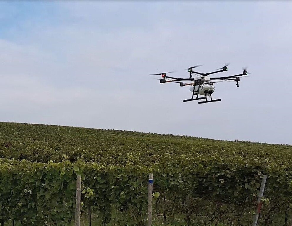Feldversuch zur Pflanzenschutzmittelapplikation im Weinberg mit Drohne © A. Herbst/JKI