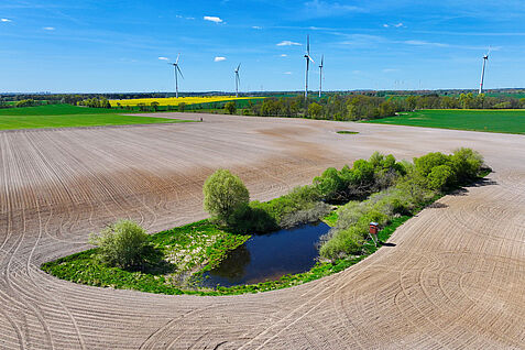 Agrargewässer Brandenburg. © Stefan Lorenz