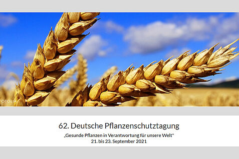 Header 62 PST 2021 Header 62 PST 2021