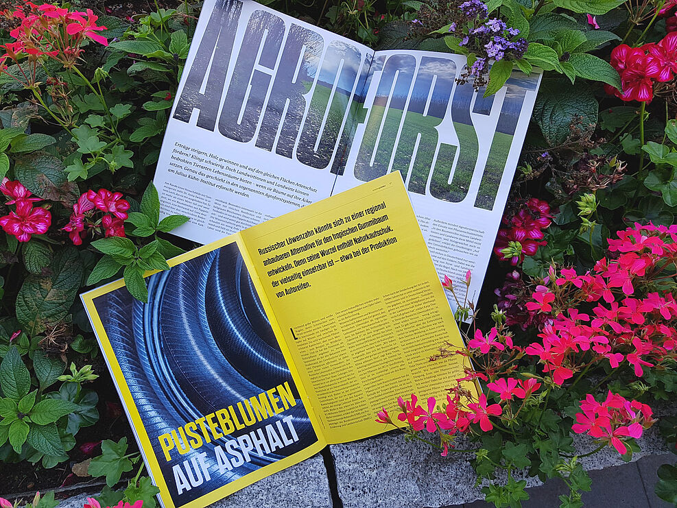 
	In Heft 2 (2019) der "forschungsfelder" ist das JKI mit zwei Themen vertreten. © Kaufmann/JKI
