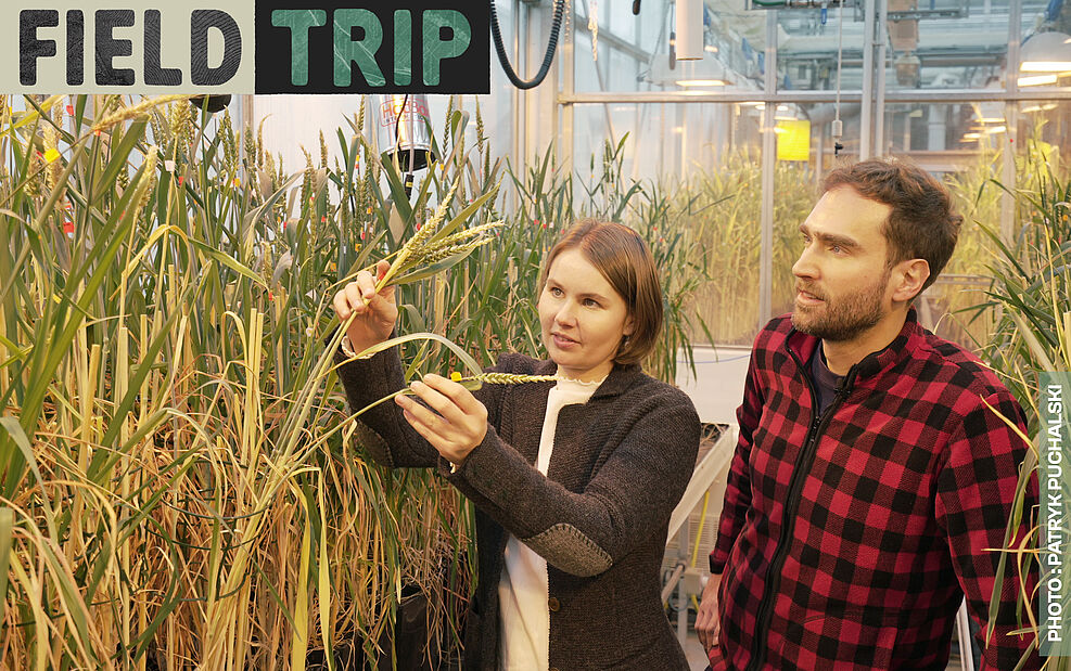 Dr. Gwendolin Wehner, scientist at the JKI Institute of Resistance Research and Stress Tolerance, talks to video journalist Pierre Girard about her research to increase resistance in wheat. © Patryk Puchalski