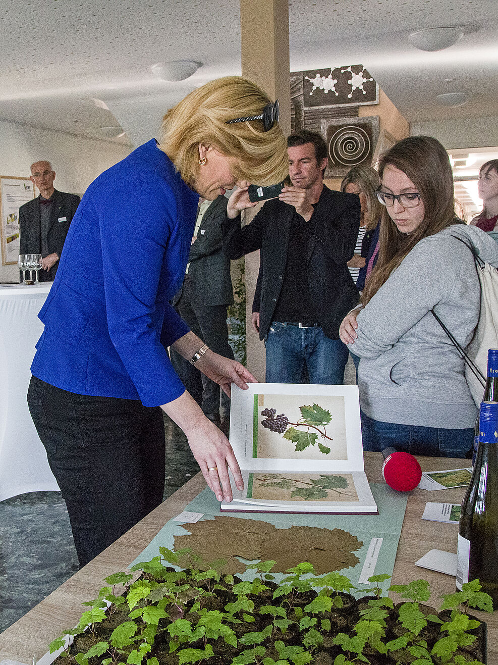 BMin Klöckner besucht JKI-Standort Siebeldingen (11.4.2019): Sichtung der Amelografie von 1881