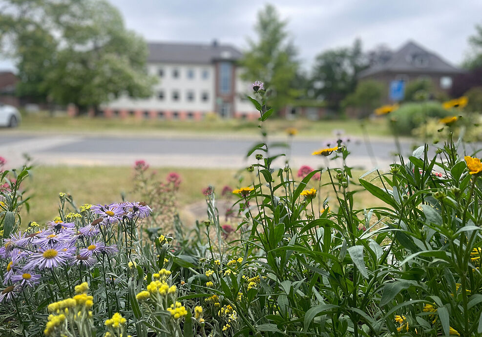 
	Vom 22.5.-21.6.2026  sollen im Bürgerwissenscahftsprojekt GartenDiv deutschlandweit Blühpflanzen mit der Flora Incognita App erfasst werden. © S. Barnert/JKI
