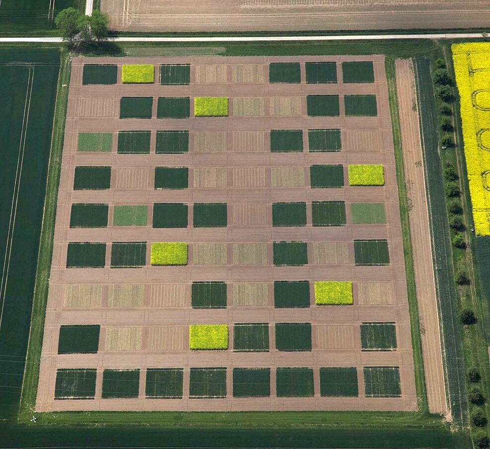 
	Versuchsaufbau RhizoWheat-Projekt in Harste bei Göttingen. © Andreas Krukemeyer
