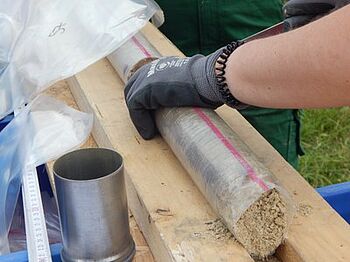 Soil core sampled at Hohenschulen experiment station. (Adriana Giongo, JKI)