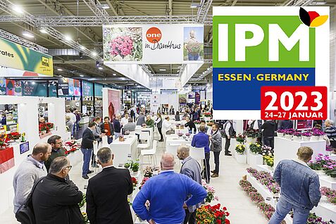 Überblick Messehalle IPM. Quelle Foto: IPM Essen Überblick Messehalle IPM. Quelle Foto: IPM Essen