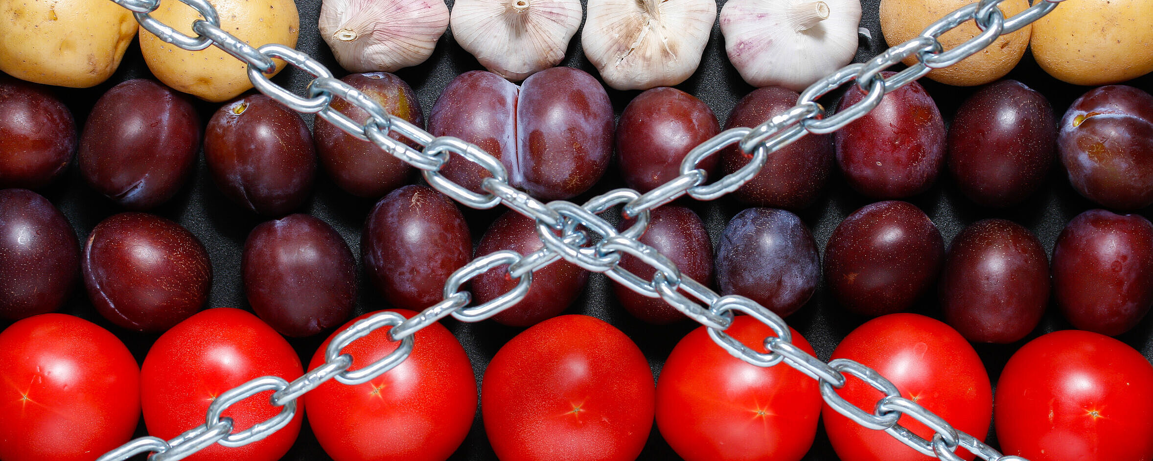 Beim Import und Export von Pflanzen und pflanzlichen Produkten gelten umfangreiche pflanzengesundheitliche Regelungen.© V. Borodin/Fotolia.com Beim Import und Export von Pflanzen und pflanzlichen Produkten gelten umfangreiche pflanzengesundheitliche Regelungen.© V. Borodin/Fotolia.com