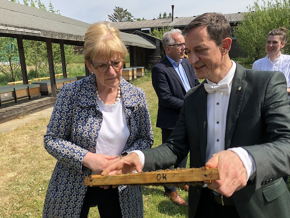 Auch Dr. Anja Hesse traute sich ans sanfte Bienenvolk heran, Dr. Pisorius zeigt Larven in Burtwaben. (c) S. Hahn/JKI