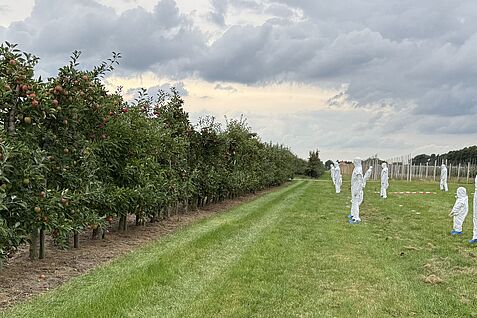 Puppen stehen stellvertretend für unbeteiligte Bystander, Personen, die sich zufällig in der Nähe von Spritzmaßnahmen aufhalten. © Katrin Ahrens/JKI