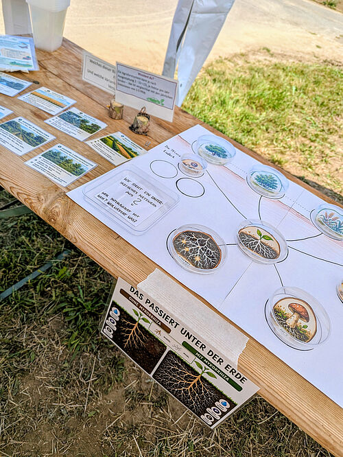 Ausstellung zur Interaktion von Pflanzenwurzeln und Mikroorganismen im Boden. © Isabel Haberkorn