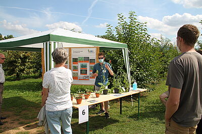 Um Virosen an Erdbeeren und ihre Überträgerinsekten ging es an dieser Station. © G. Leefken/JKI