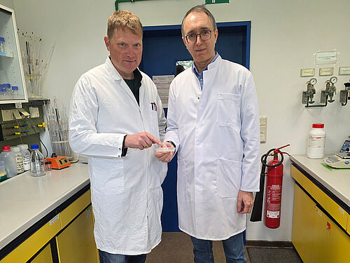 Die JKI-Wissenschaftler v.l. Dr. Torsten Thünen und Dr. Samad Ashrafi mit einer Petrischale auf der der von ihnen isolierte nützliche Bakterienstamm OM4 von Mesorhizobium onobrychidis angezüchtet wurde. © T. Thünen/JKI