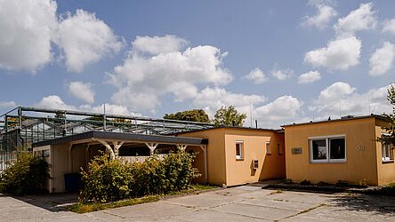 © IPK Leibniz-Institut/A. Karsten