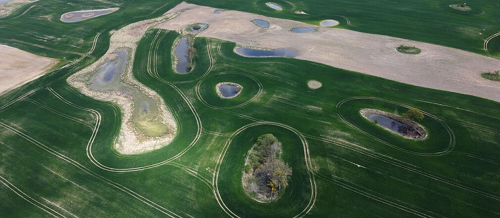 Kleingewässer in der Agrarlandschaft, Beispiel einer Kleinstruktur © M. König/JKI