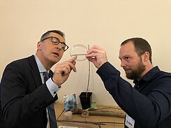 JKI-Pilzforscher Dr. Rasmus Enderle zeigt BM Özdemir wie klein der Pilz ist, der das Eschentriebsterben verusacht, das Stengelbecherchen ist nur ca. 5mm groß. © S. Hahn/JKI