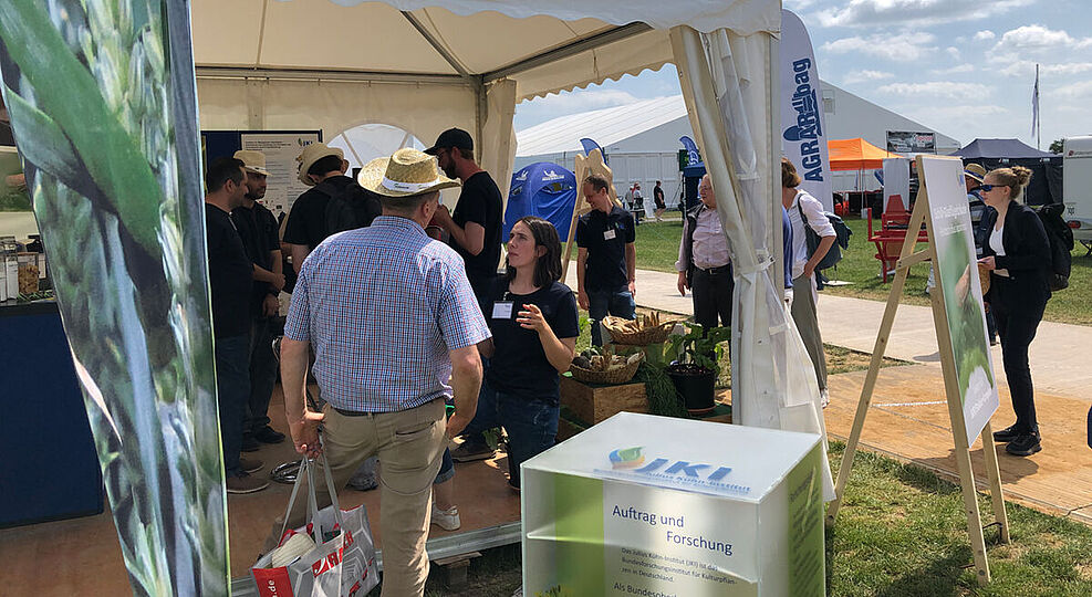 
	Der JKI-eigene Zeltstand auf gras auf den DLG-Feldtagen war durchgehend gut besucht, auch wegen des aktuellen Themas, der Schilf-Glasflügelzikade und die von ihr übertragenen Krankheitserreger. © Stefanie Hahn/JKI
