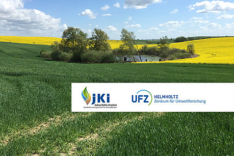 Agrarlandschaft mit Standgewässer und blühendem Rapsfeld © S. Lorenz/JKI