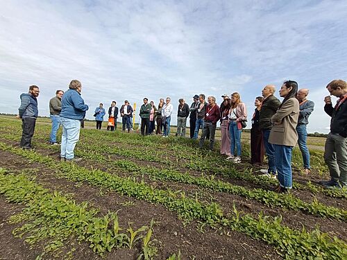 Visit to the demonstration farm in Mannheim-Sandhofen (Germany). Photo: Paluch/JKI
