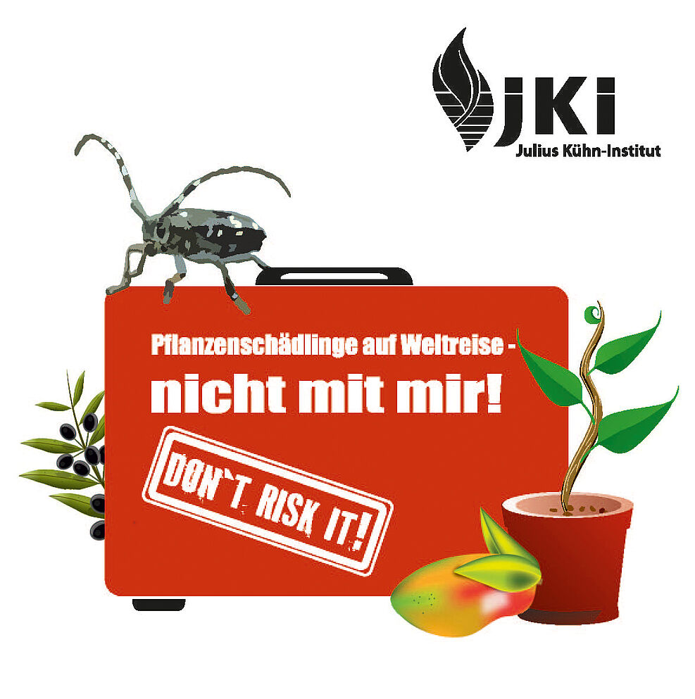 
	Das JKI warnt, unbestellte Pflanzensamen nicht aussäen
