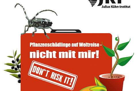 Das JKI warnt, unbestellte Pflanzensamen nicht aussäen Das JKI warnt, unbestellte Pflanzensamen nicht aussäen