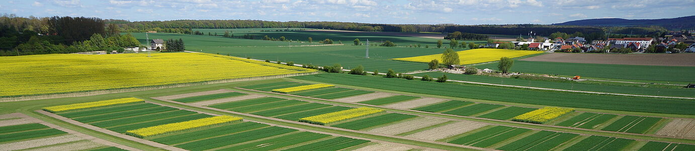 Eine Landschaft mit kleinen gelben (Raps) und grunen (junges getreide) streifenförmigen Parzelle nebeneinander. Vereinzelte Gebäude und Horizont sind im Hintergrund zu sehen.n