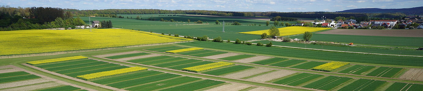 Eine Landschaft mit kleinen gelben (Raps) und grunen (junges getreide) streifenförmigen Parzelle nebeneinander. Vereinzelte Gebäude und Horizont sind im Hintergrund zu sehen.n
