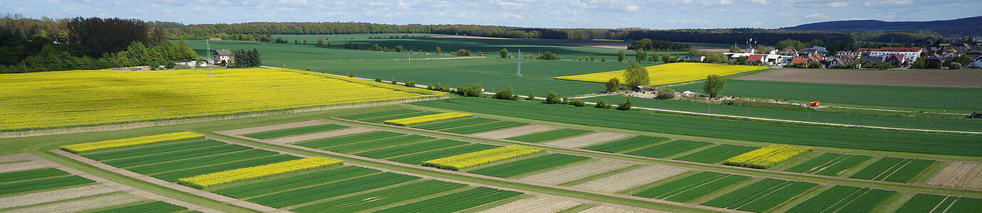 Eine Landschaft mit kleinen gelben (Raps) und grunen (junges getreide) streifenförmigen Parzelle nebeneinander. Vereinzelte Gebäude und Horizont sind im Hintergrund zu sehen.n